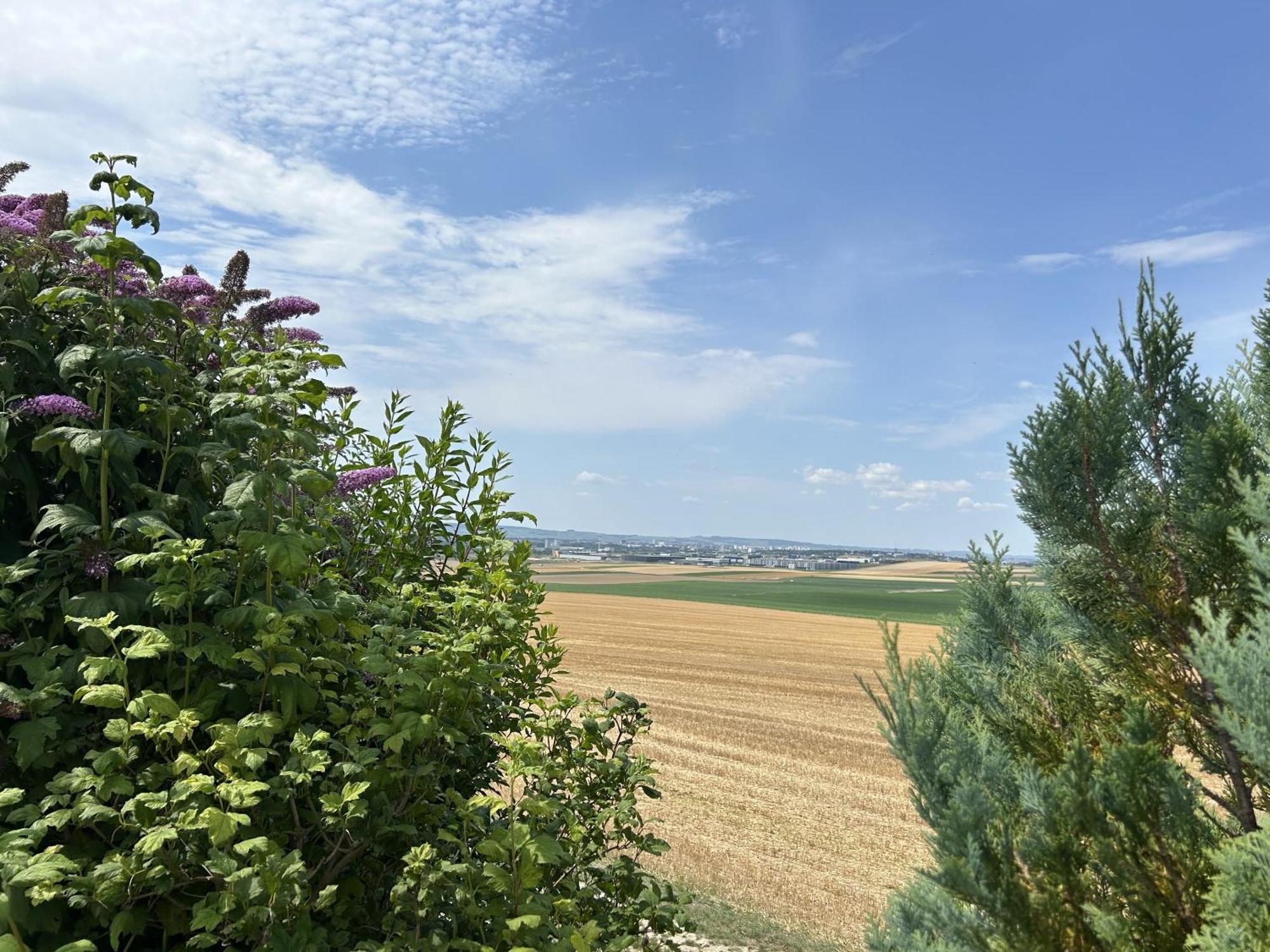 L'Intemporel Cernay-les-Reims Экстерьер фото